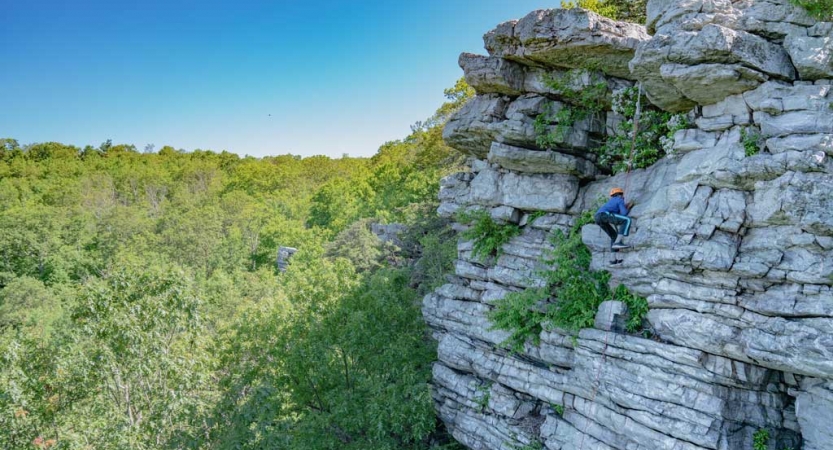 From a distance, a person rock climbs a rock face amid green trees